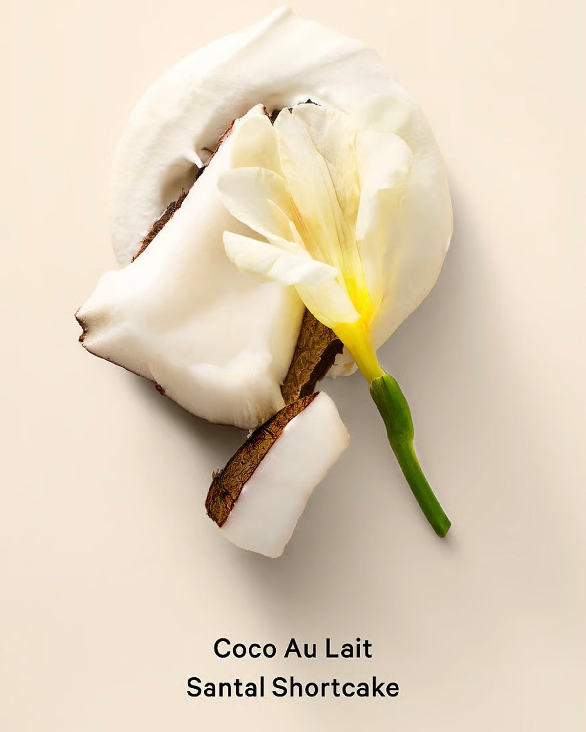 MIST COCONUT PASSION VICTORIA’S SECRET